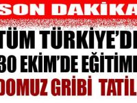 EĞİTİME DOMUZ GRİBİ TATİLİ