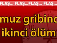 DOMUZ GRİBİ ÖLDÜRMEYE DEVAM EDİYOR