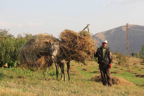 otluca-koyu-uyanik-mahallesi-3.jpg